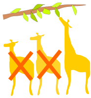 The giraffes able to eat high leaves are better at surviving