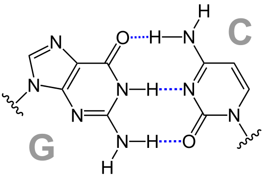CG