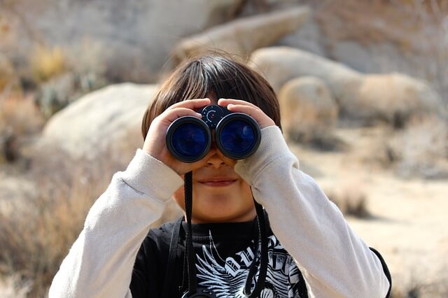 Have a good look at your candidates' programmer portfolio